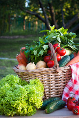 Basket with freshvegetables