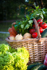 Basket with freshvegetables