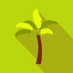 Palm tree icon, flat style