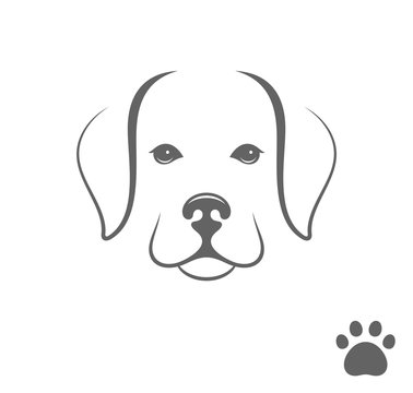 Labrador dog. Little puppy with paw print