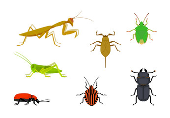 set of european insects