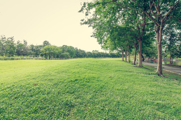 The landscap vintage style in park
