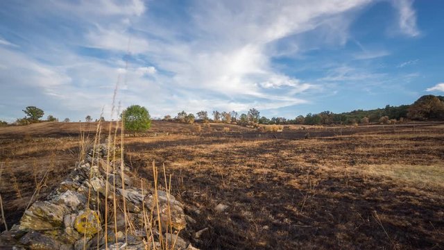 Sliding camera view of hill after wildfire