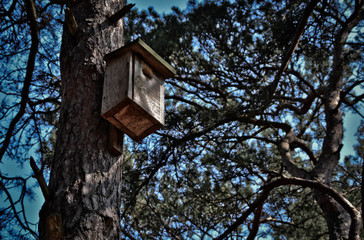 Karmnik dla ptaków © sportmigawka