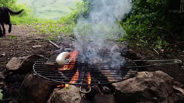 Sausages grilling over the hot glowing coals   during a picnic or summer camping trip