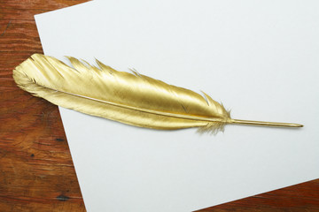 Gold quill pen
