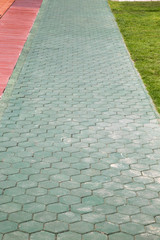 Fototapeta premium Stone walkway in garden 