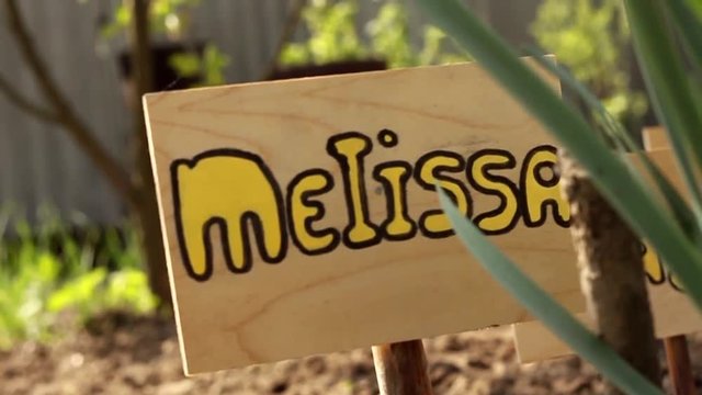 sign's melissa