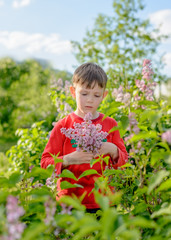Handsome little boy collecting fresh lilac flowers