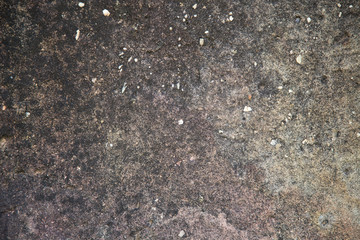 Old grungy cement brick wall with blank space for text.
