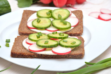 Fototapeta na wymiar Healthy and delicious sandwiches with cottage cheese and veg
