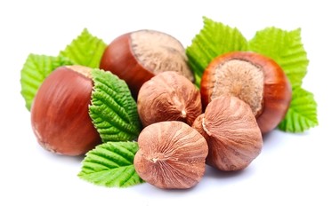 Hazelnuts  with leaf on white background