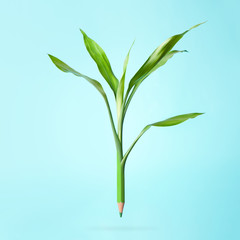 green pencil with leaves