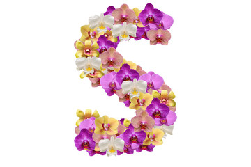 Letter s made of flowers