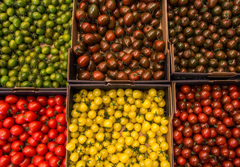 Tomatenvielfalt - Göteborg, Schweden. 