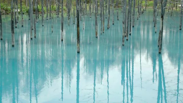 Blue Pond (Aoiike) , Biei Hokkaido Japan