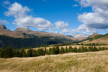 Italian Alps panorama