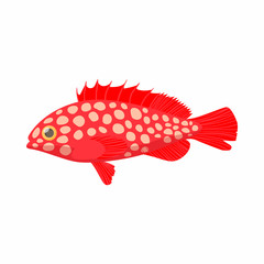 Hemichromis fish icon, cartoon style