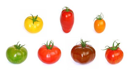 Tomates variétés anciennes