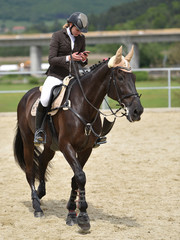 Obraz premium Equitation