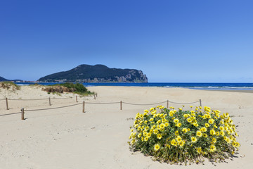 Playa de Laredo, Cantabria.
