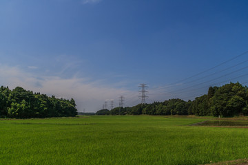 Fototapeta na wymiar 夏の佐倉市の田園風景