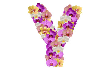 Letter y made of flowers
