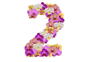 Number four made of flower