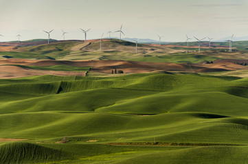Palouse Wind Turbines. The 40-acre, 58-turbine wind farm, named Palouse Wind and situated eight miles west of Oakesdale, Wash., went online Dec. 13 and generates 105 megawatts of energy. Steptoe Butte