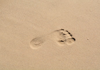 Fototapeta na wymiar Fussabdruck im Sand auf der Insel Usedom an der Ostsee