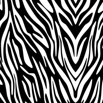 estampado de cebra 