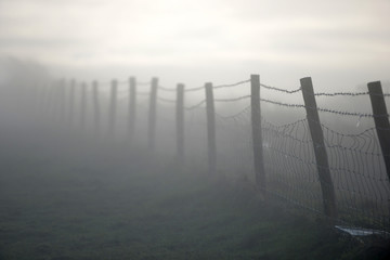 Misty fences