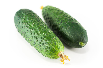 Cucumber isolated on white background