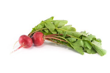 Fresh red radish isolated on white background