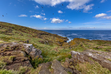 Fototapeta na wymiar Isle of May landscape