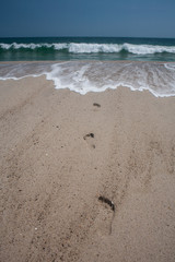 Footprints on Sand Leading to Ocean
