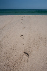 Footprints on Beach Leading to Ocean