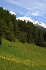 paesaggio di montagna estate primavera prateria cime innevate vacanza montagna panorama