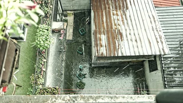 Rain filmed from the balcony
