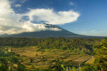 Beautiful view of mountain and rice terraces at Rendang, Nusa Tenggara Barat, Bali, Indonesia