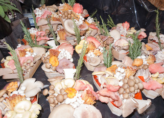 Decorative Shiitake mushrooms