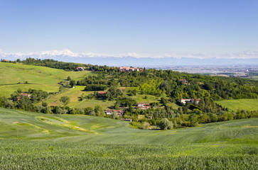 Hills landscape with fields of wheat, Monferrato hills, Italy