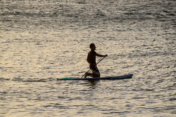 Silhouette Surfer at Sunset