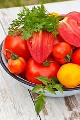 Tomatoes with green leaves and parsley in metal bowl in garden on sunny day