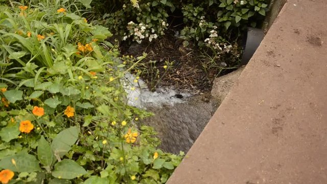 Eau coulant dans une levada mad&eacute;rienne