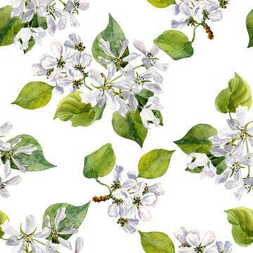 seamless pattern with watercolor apple tree flowers