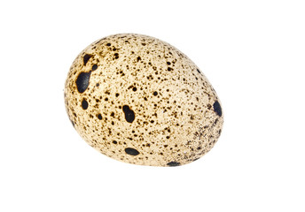 Quail egg on a white background