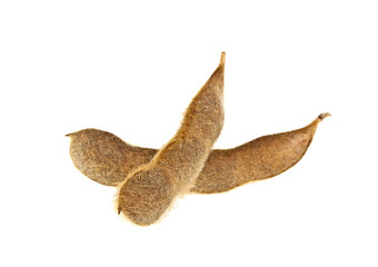 Soybean pods isolated on white background. Soya - protein plant