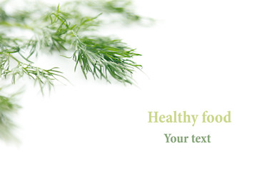 Sprig of green dill on a white background. Frame with copy space for text. Isolated, studio, close-up