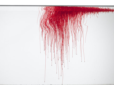 Lines of blood or red color in water, isolated on white background.
